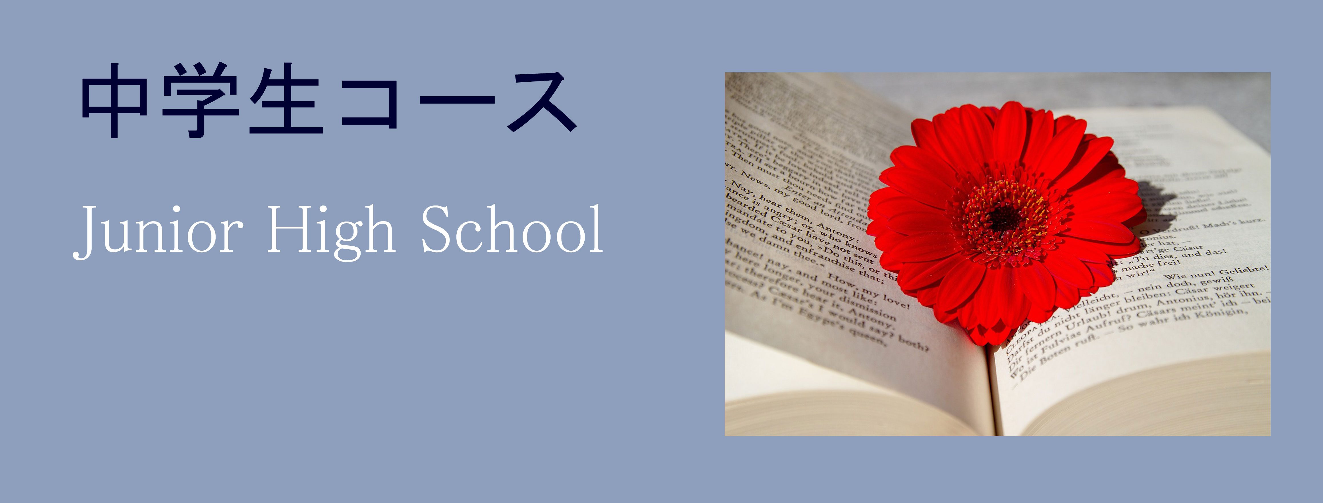 ���w���R�[�X